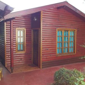 Bungaló